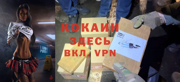индика Алзамай