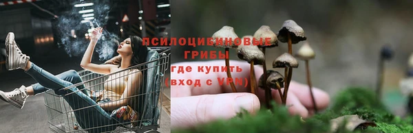 кокс Арсеньев