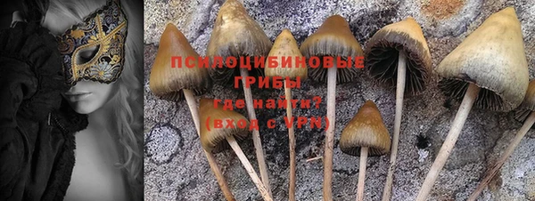 кокс Арсеньев