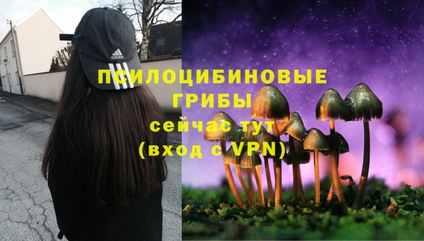 трава Алексеевка