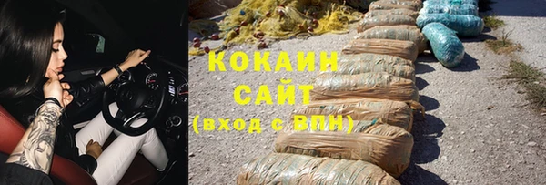 индика Алзамай