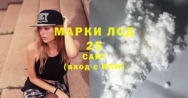 индика Алзамай