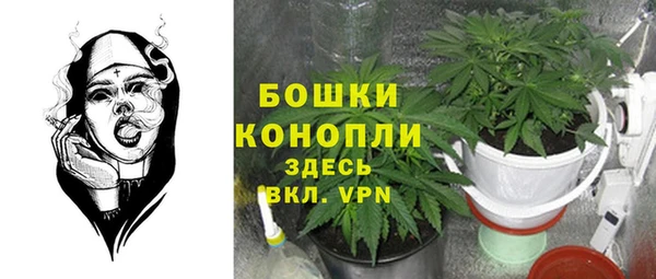 индика Алзамай