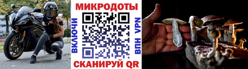 Псилоцибиновые грибы ЛСД  Дрезна 